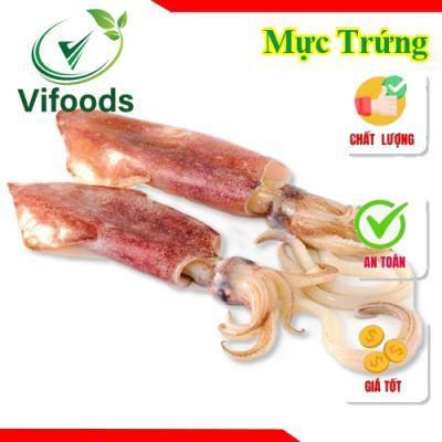Giá Mực Ghim Trứng – Bỏ Túi Ngay 6 Bí Quyết Mua Được Mực Giá Tốt