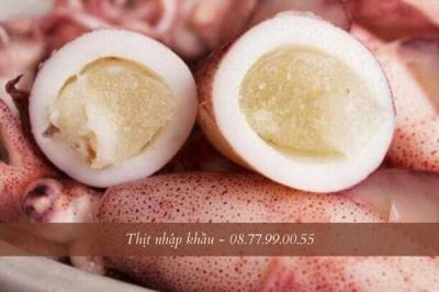 Mực trứng bao nhiêu tiền 1kg? Cách chọn mực trứng đầy ắp trứng, tươi ngon roi rói